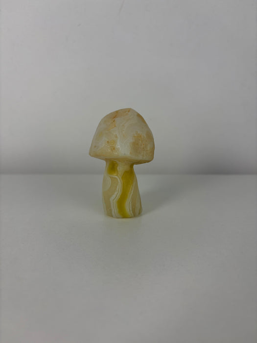 Light Green & White Gobi Agate Mushroom