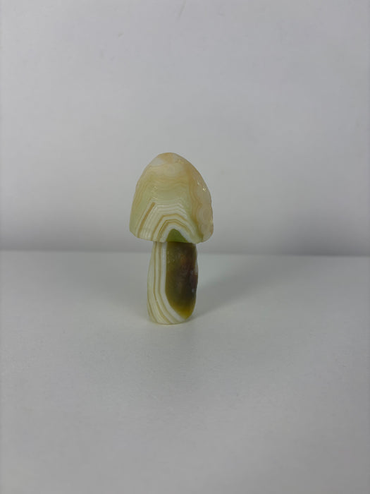Green & White Gobi Agate Mushroom