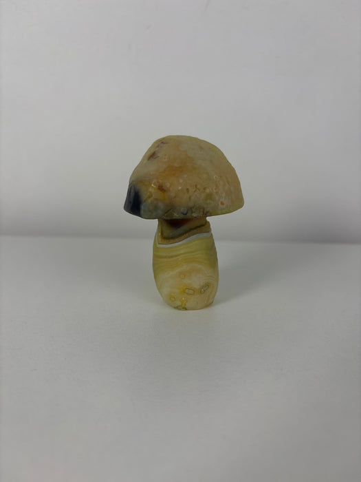Green & White Gobi Agate Mushroom