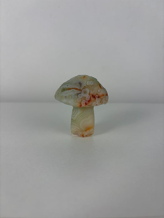 White, Green, Orange & Blue Gobi Agate Mushroom