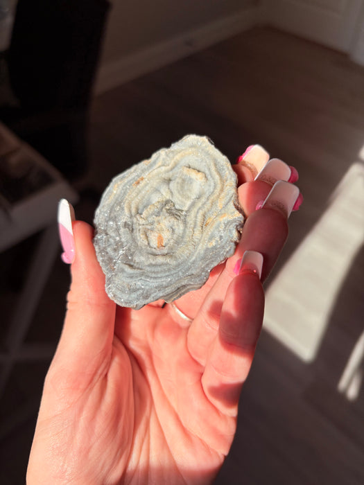 Sugary Chalcedony Flower