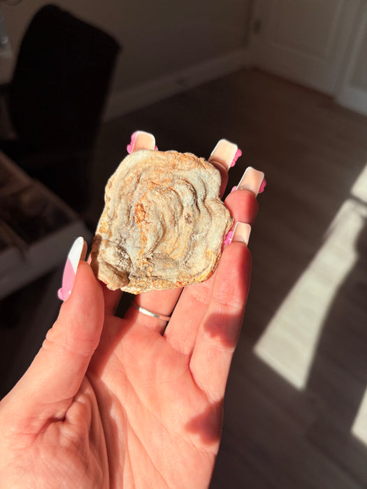 Sugary Chalcedony Flower