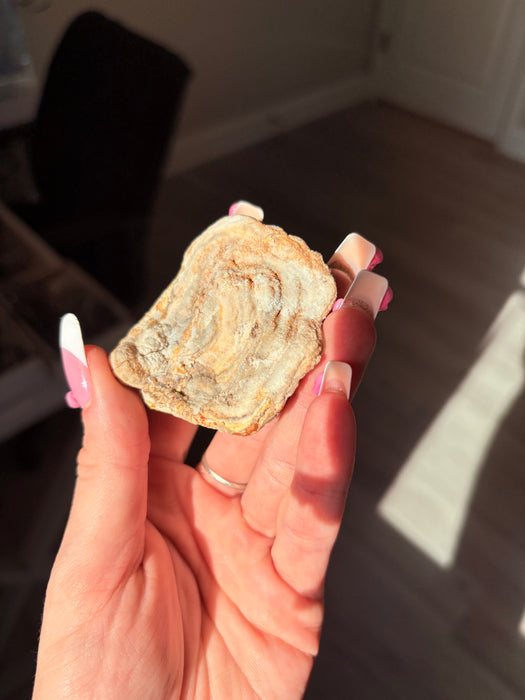 Sugary Chalcedony Flower