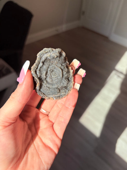 Sugary Chalcedony Flower
